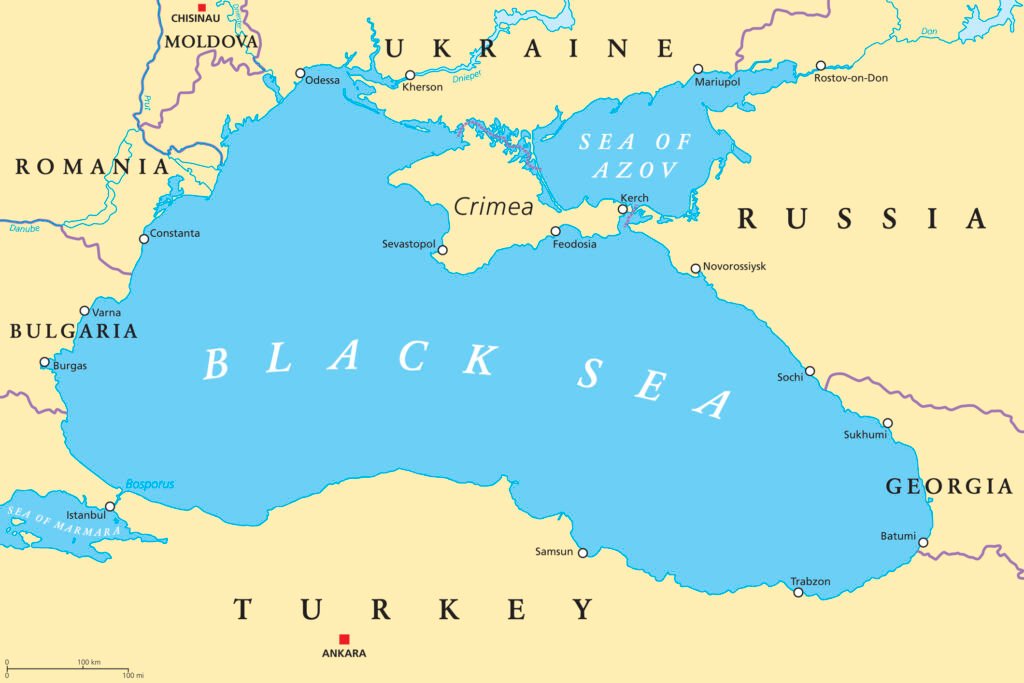 Black Sea Grain Trade: Essential Guide for Buyers. Global agricultural commodity trade network connecting bulk buyers with verified suppliers for wheat, sugar, edible oils, rice and halal meat