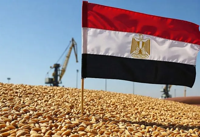 Wheat Import To Egypt: Wheat Sourcing From The Black Sea. Ruwad al tasaheel business llc. Global agricultural commodity trade network connecting bulk buyers with verified suppliers for wheat, sugar, edible oils, rice and halal meat